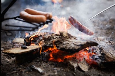 Gamta – mūsų namai. Nepamirškite!