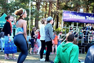 Antroji festivalio „Positivus“ diena