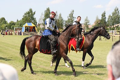 Naisių vasaros festivalis 2014