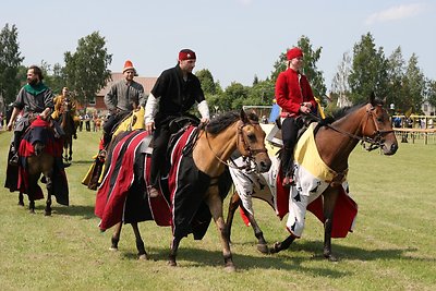 Naisių vasaros festivalis 2014