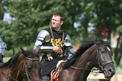 Naisių vasaros festivalis 2014