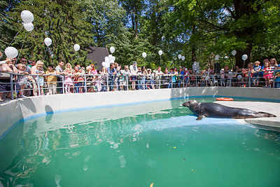 Naujos voljero ruoniui atidarymo šventė zoologijos sode