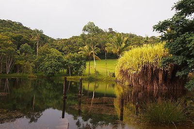 Kastyčio Sarnicko-Kasteto atostogų Australijoje akimirka