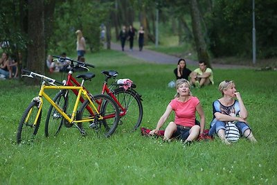 „Sel“ gerbėjai, parke priešais vasaros estradą