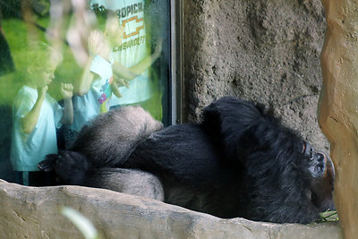 Erikos Santos laisvalaikis su vaikais zoologijos sode