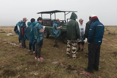 Solveigos Mykolaitytės akimirkos iš Pietų Afrikos