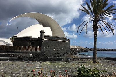 Gintarės ir Tomo Slausgalvių atostogos Tenerifėje