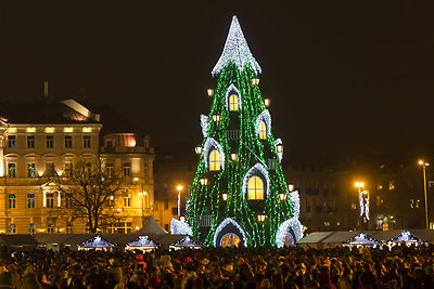 Vilniaus Kalėdų eglė 2015