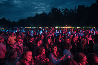 Festivalio „Bliuzo naktys“ akimirka/ 2017 m.