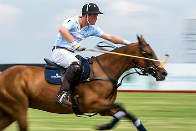 Princas Harry tapo herojumi polo mače, kur suteikė pagalbą sąmonę praradusiam varžovui