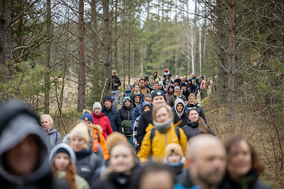 Labradorų ėjimas Labanoro girioje 2025