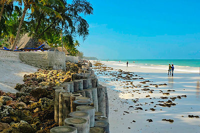 Saugirdo Vaitulionio kelionė į Zanzibarą