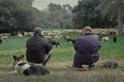 Filmo „Fauna“ kadras