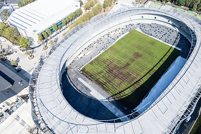 Dariaus ir Girėno stadiono veja