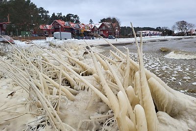 Ledo skulptūros Kuršių nerijoje