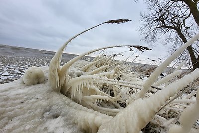 Ledo skulptūros Kuršių nerijoje