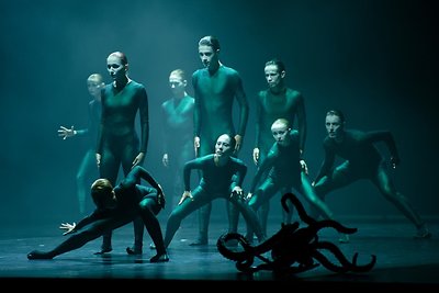 Klaipėdos valstybinio muzikinio teatro spektaklis „Reverb“