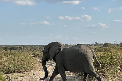 Safaris Bostvanoje 