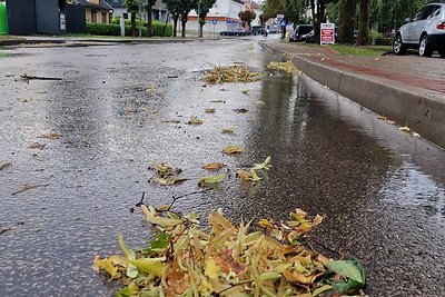 Smarki liūtis nuplovė Raseinius