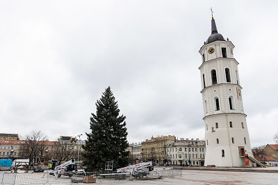 Vilniuje pradėta statyti Kalėdų eglutė