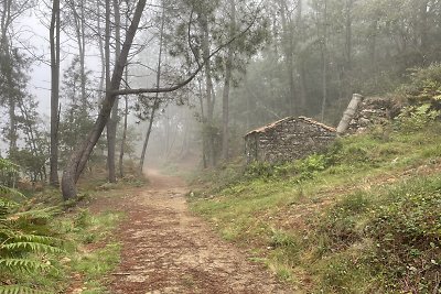 Timūro Augucevičiaus kelionė Camino de Santiago