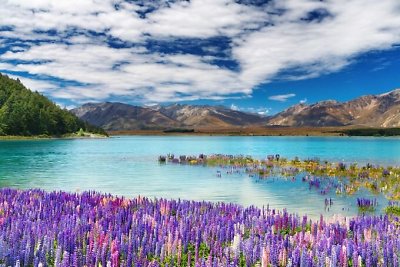 Tekapo ežeras Naujojoje Zelandijoje