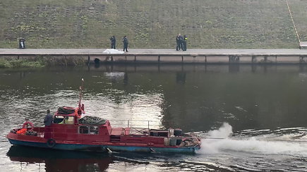 Vilniuje rastas skenduolio kūnas