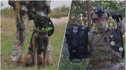 Nuo ginklų iki dubenėlių: šuns dienos proga – ką NATO šunys nešasi į misijas?