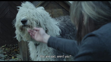 „Šuns dienos“ (rež. Ieva Veiverytė, 2013 m., 24 min.)