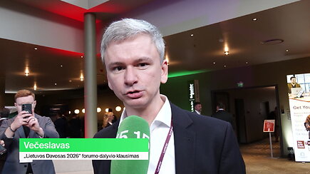 Žmonės klausia finansų ministro: kas pasikeistų, jeigu dalis valstybės tarnautojų būtų perkelti į privatų sektorių?