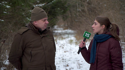 Kodėl žiemą laukiniams gyvūnams paliktas maistas dažniausiai tampa grėsme – interviu su miškininku
