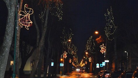 &Scaron;venti&scaron;kai padabinta Palanga.