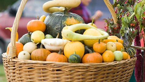 Vilniečiai turės progą įsigyti tiesiai i&scaron; sodo ir daržo atkeliavusių rudens gėrybių.