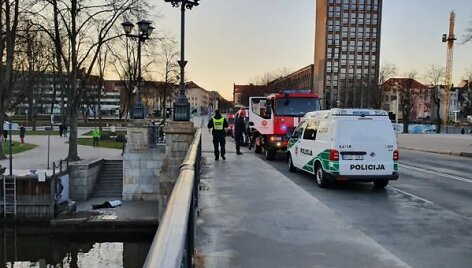 I&scaron; Danės upės i&scaron;trauktas skenduolis