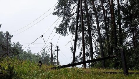 Po audros Vie&scaron;vilės apylinkėse sutriko elektros tiekimas