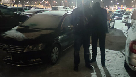 Sulaikymas, bylos įkalčiai