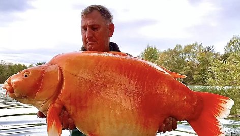 Britų žvejys Prancūzijoje ištraukė nepagaunamą žuvį
