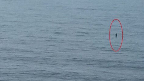 Sunaikintas Baltijos jūroje plūduriavęs torpedos korpusas