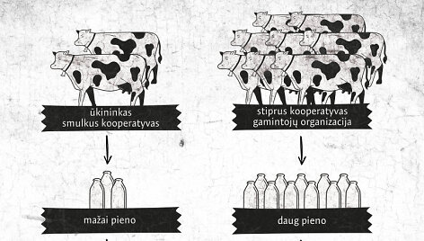 Konkurencijos taryba baigė pieno rinkos tyrimą.