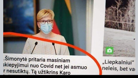 Melagienų kūrėjai nepatingėjo suklastoti portalo 15min titulinį puslapį
