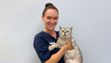 Mitais apipinta augintinių anestezija: veterinarijos gydytoja pasakoja apie jos poveikį ir svarbą