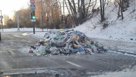 Kauno Studentų gatvėje ant kelio išverstos šiukšlės