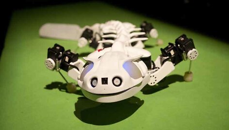 Robotas &ndash; driežas &bdquo;Pleurobot&ldquo;