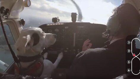 Shadow pilotuoja lėktuvą