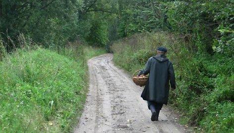 Asociatyvinė iliustracija