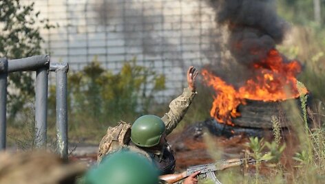 Ukrainos karys