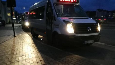 Viešasis transportas Alytuje