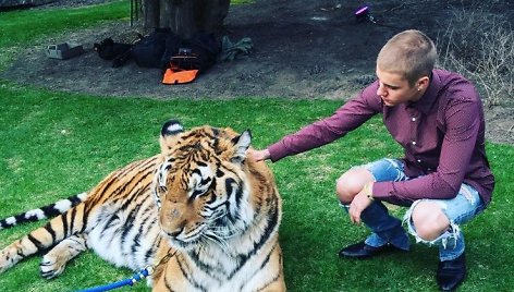 Justinas Bieberis su bengaliniu tigru