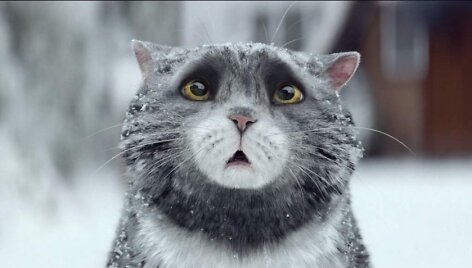 Katinas i&scaron; &bdquo;Sainsbury's&ldquo; reklamos