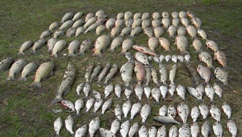&Scaron;imtą kilogramų sveriantis brakonierių laimikis